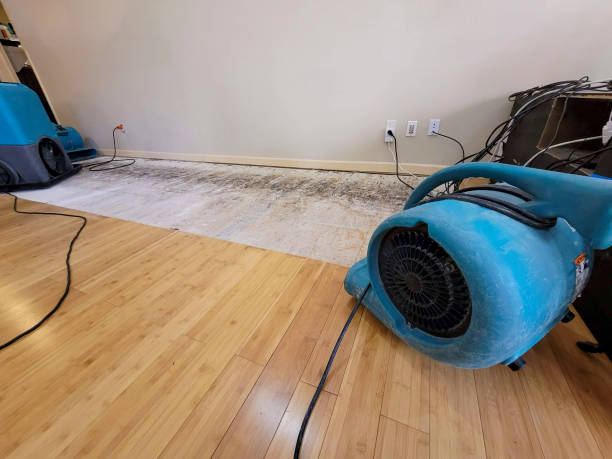 Professional Flood Damage Cleanup technician working in River Edge, NJ